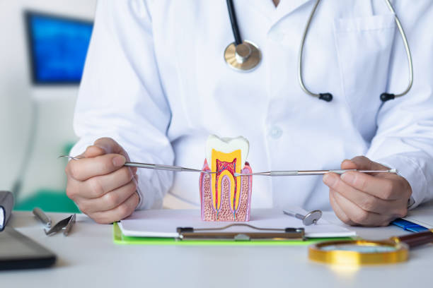 Best Walk-In Emergency Dentist in Ferron, UT